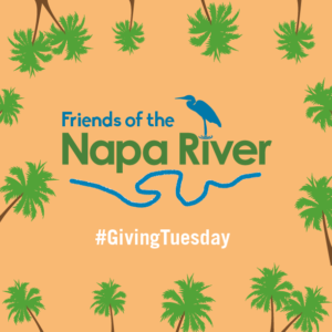 Friends of the Napa River, our non-profit partner for the #GivingTuesday 2018 campaign Week of Giving and Thanks 